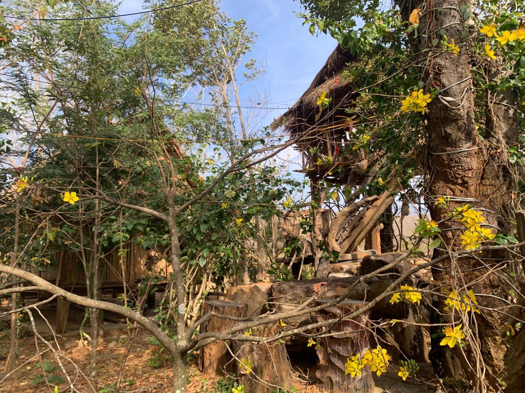 Khu Du Lich Sinh Thai, Nghi Duong Homestay Hoang Anh - Kon Xom Luh كون توم المظهر الخارجي الصورة
